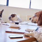 The Dow’s Biggest Dividends: Here Are 2023’s Dogs The Dow’s Biggest Dividends: Here Are 2023’s Dogs