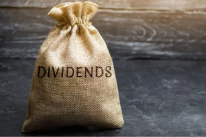 highest-yielding dividend stocks