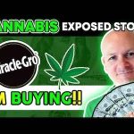 I’ve Been Buying This Stock (Down 40% – Cannabis Dividend Play)