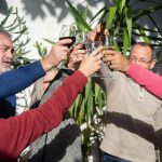 Raise Your Glass And Consider This Dividend Grower